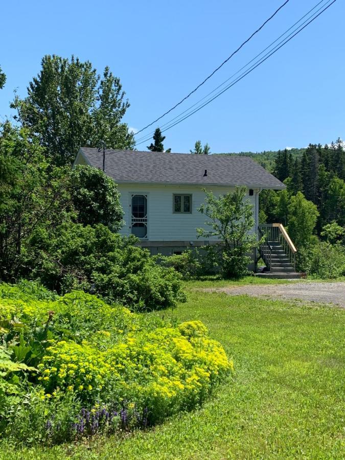 Chalets Les Chanterelles De Forillon L'Anse-au-Griffon Eksteriør billede